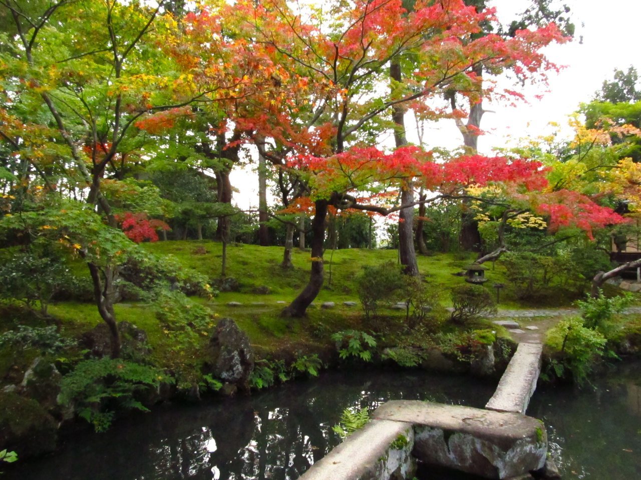 🏞️ 시미즈엔(구 시미즈다니 고덴) 이미지 6